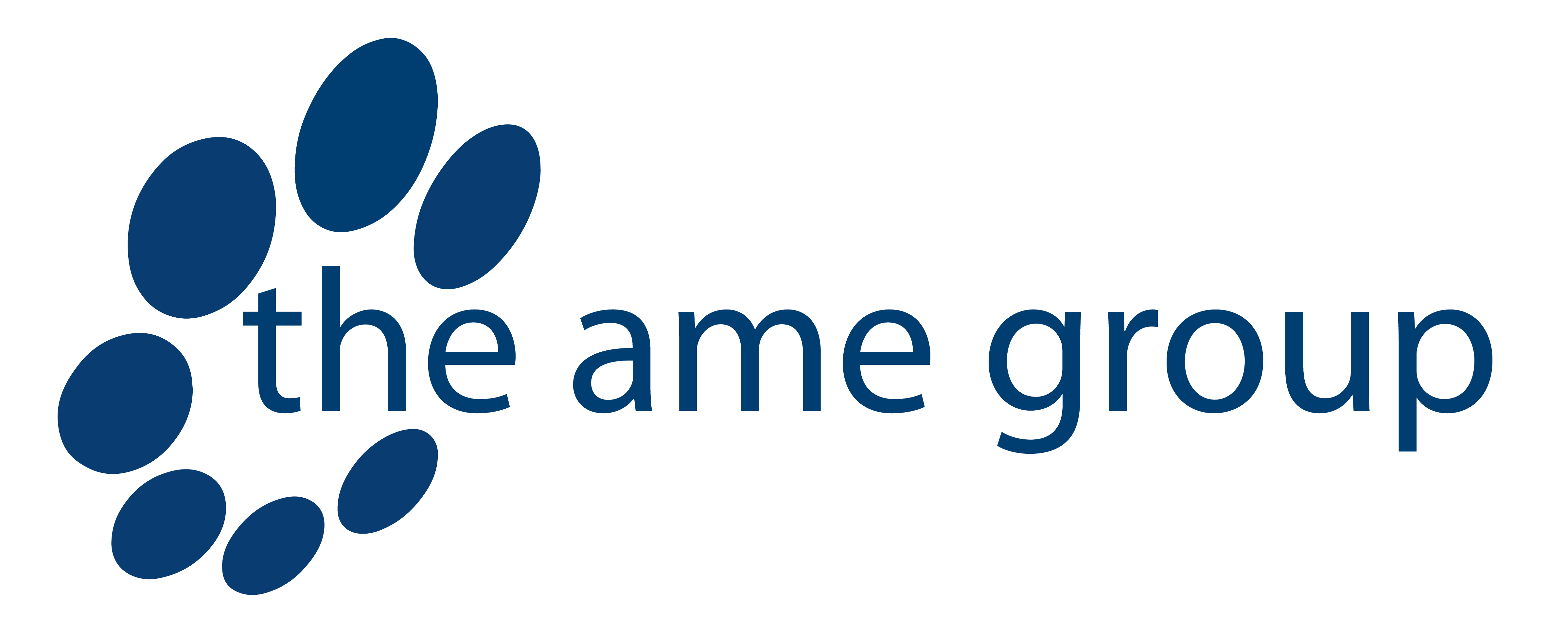The AME Group Logo
